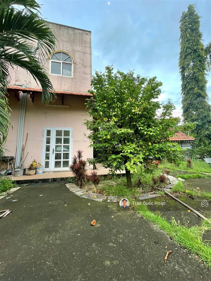 Bán biệt thự nghỉ dưỡng phước hải bà rịa, 917m2 ngang 19m, giá 6,5 tỉ