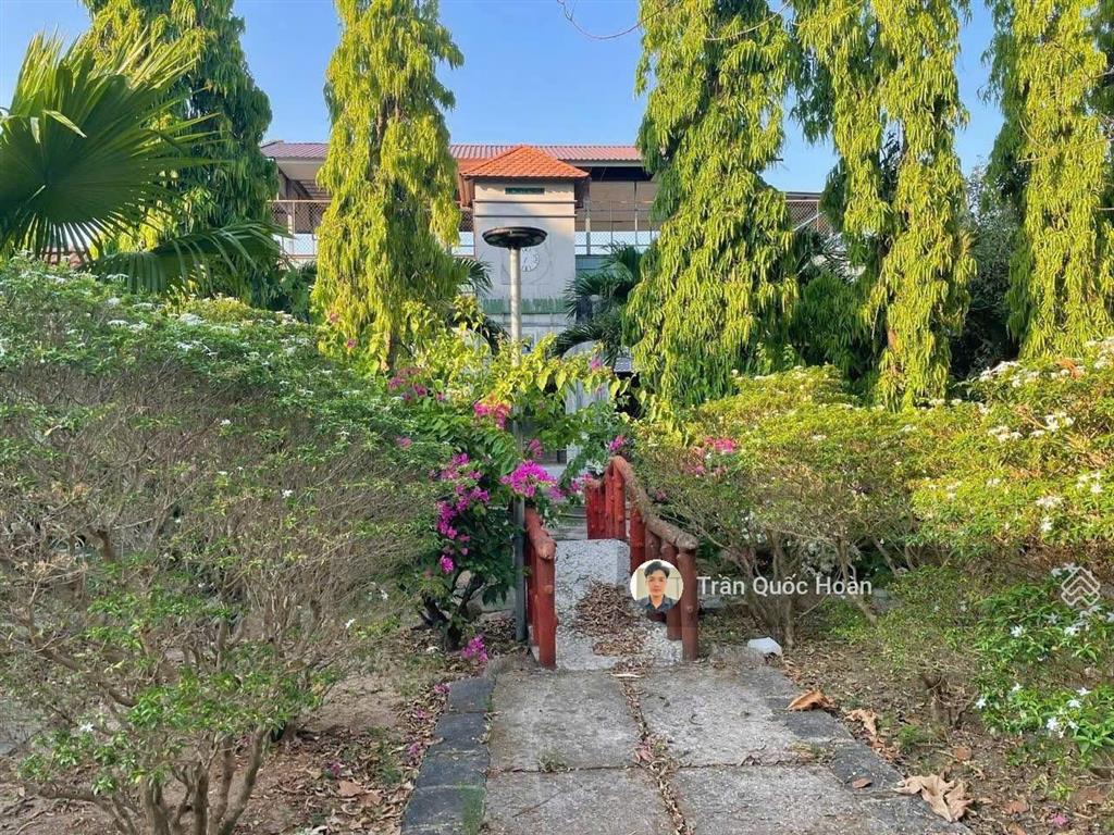 Bán biệt thự nghỉ dưỡng phước hải bà rịa, 917m2 ngang 19m, giá 6,5 tỉ