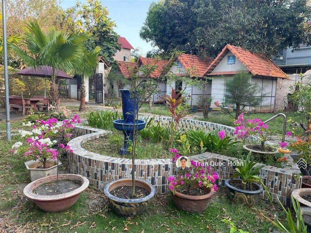 Bán biệt thự nghỉ dưỡng phước hải bà rịa, 917m2 ngang 19m, giá 6,5 tỉ