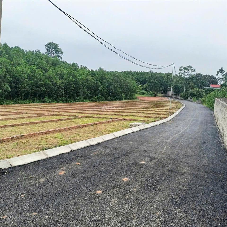 Chỉ từ 200 triệu,sở hữu lô đất đẹp tại an bình lạc thủy