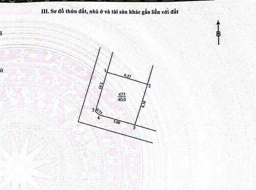 Bán nhà long biên, 50m 6 tầng thang máy dân xây chắc chắn, lô góc nở hậu, ô tô tránh. giá 11.5 tỷ