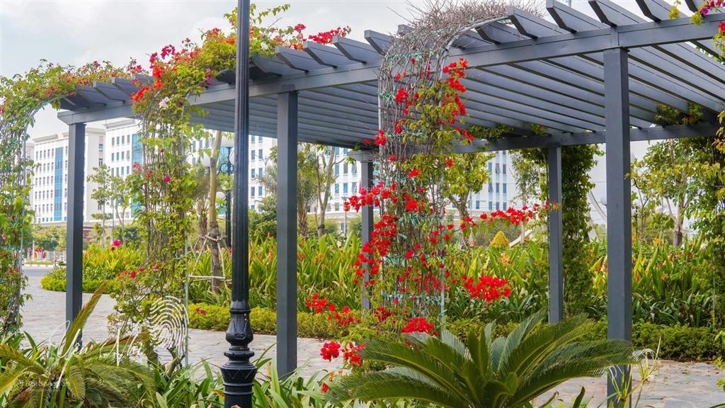 Nhà sổ riêng 84m2, 1 trệt 3 lầu, mặt tiền 17m, giá 8,5tỷ, nhận nhà ở ngay.  0932 238 ***