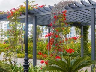 Nhà sổ riêng 84m2, 1 trệt 3 lầu, mặt tiền 17m, giá 8,5tỷ, nhận nhà ở ngay.  0932 238 ***