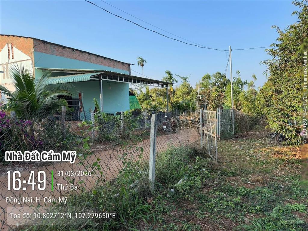 Mua 2 sào đất tặng vườn sầu giá rẻ