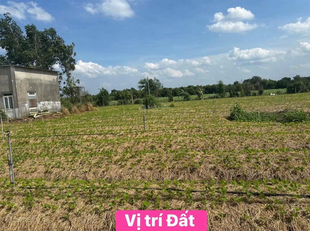Chủ cắt lỗ 1,2 sào 100 tc  ấp 4 xuân tây