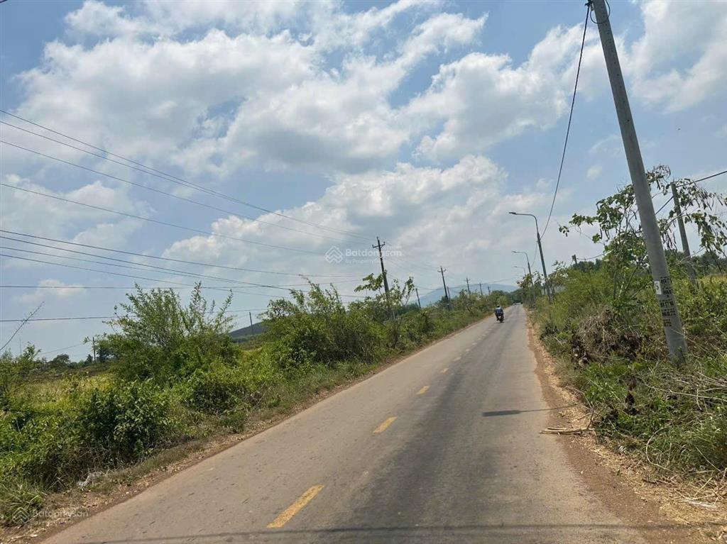 Chủ hạ giá 1 mẫu phủ hồng  giá rẻ