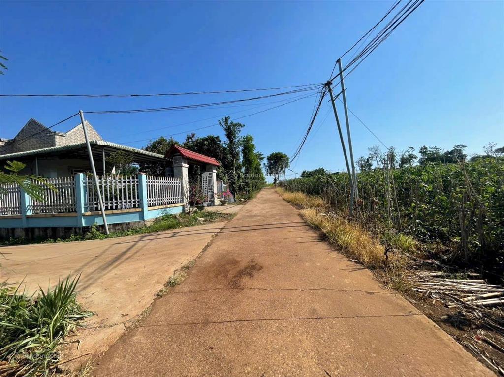 Cô chủ kẹt ra gấp 2,5 sào  100m2 tc