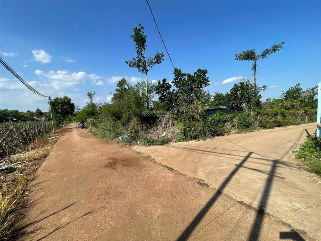 Cô chủ kẹt ra gấp 2,5 sào  100m2 tc