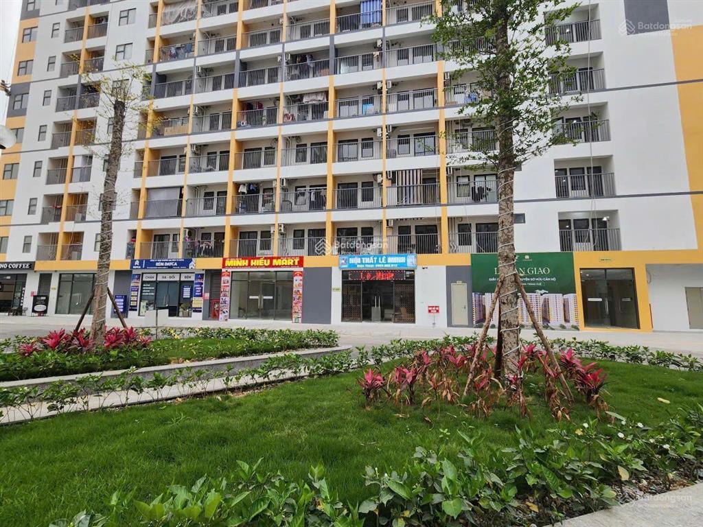 Chính chủ cần bán lô đất 180m² tại kđt seoul ecohome hải phòng đối diện 10 toà chung cư noxh