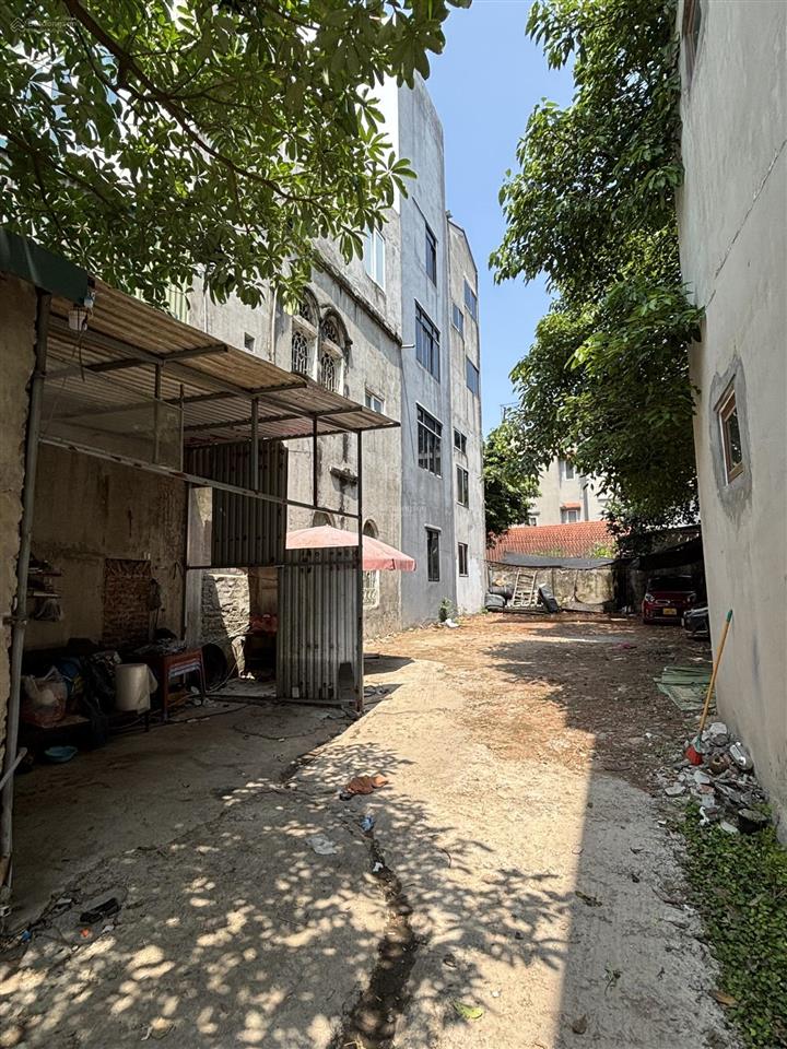 Chính chủ cho thuê đất ngũ hiệp thanh trì hà nội 227,2m² giá 35 triệu/tháng