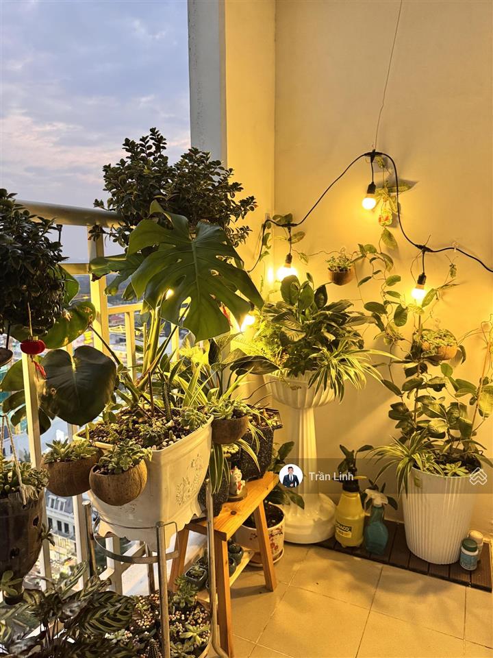 Cho thuê 2pn full nội thất 8 triệu / tháng chỉ cần xách vali vào ở