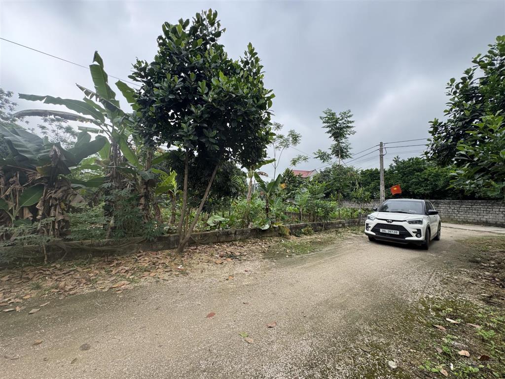 Bán đất 805m2 tại đường 21, hoàng văn thụ, 4 tỷ vnd, hàng hiếm