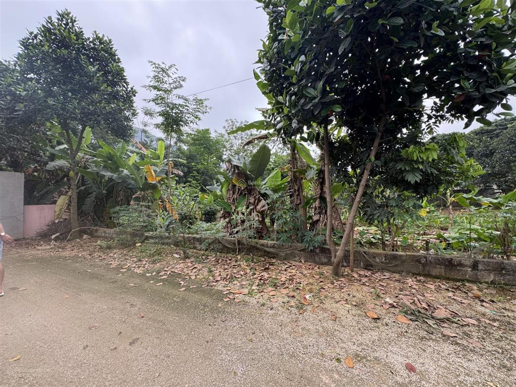 Bán đất 805m2 tại đường 21, hoàng văn thụ, 4 tỷ vnd, hàng hiếm