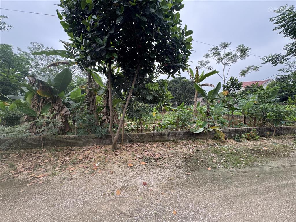 Bán đất 805m2 tại đường 21, hoàng văn thụ, 4 tỷ vnd, hàng hiếm