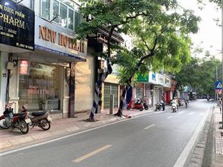 Hot  lô góc 5t thông sàn mp nguyễn công hoan, mt 6.6m, tặng gpxd 9 tầng, dòng tiền 1,1 tỷ/năm