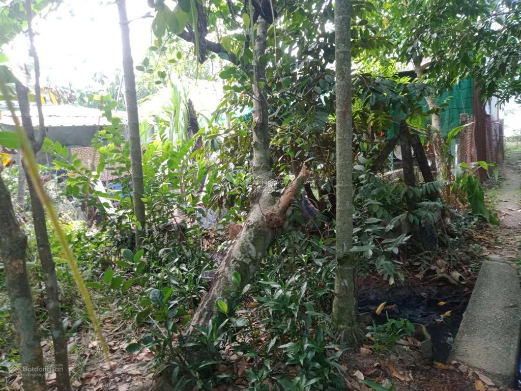Đất sổ đỏ chính chủ 569m2 tại thuận an, bình dương giá 5 tỷ