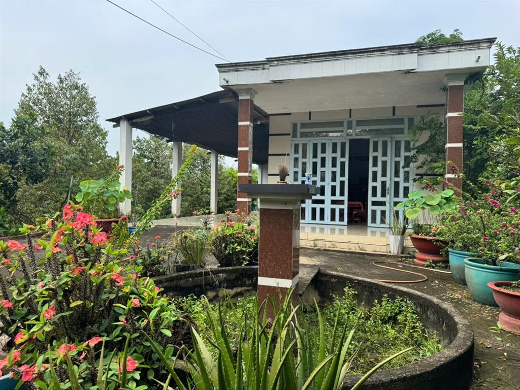 Trảng Bàng-Tây Ninh ngộp giảm 2 tỷ còn 2 tỷ 990tr dt 3555m2 sẵn nhà cấp 4 và vườn traí