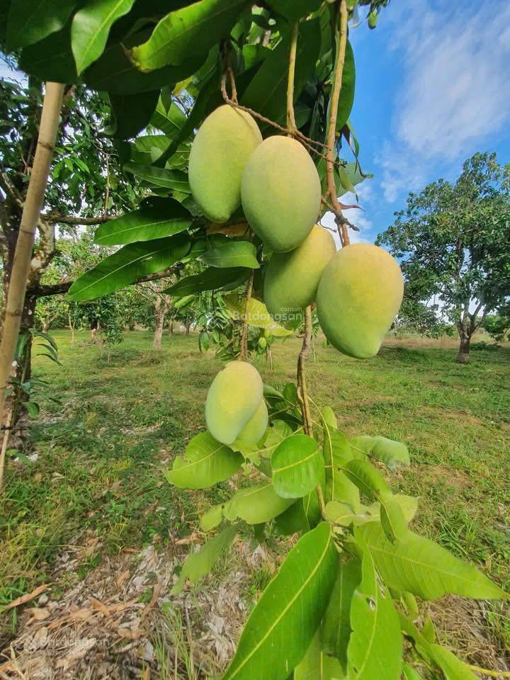 Mặt tiền view hồ trị an giá rẻ