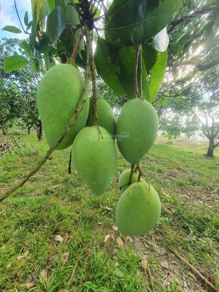 Mặt tiền view hồ trị an giá rẻ
