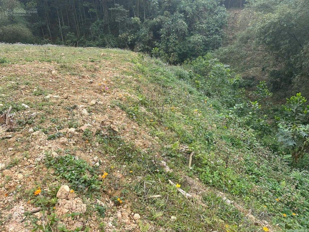 Bán 4200m2 đất nghỉ dưỡng ven suối tại lạc thủy hòa bình