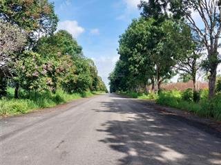 Nhận ký gửi mua bán đất nền dự án xây dựng hà nội  hud  ecosun tại nhơn trạch đồng nai