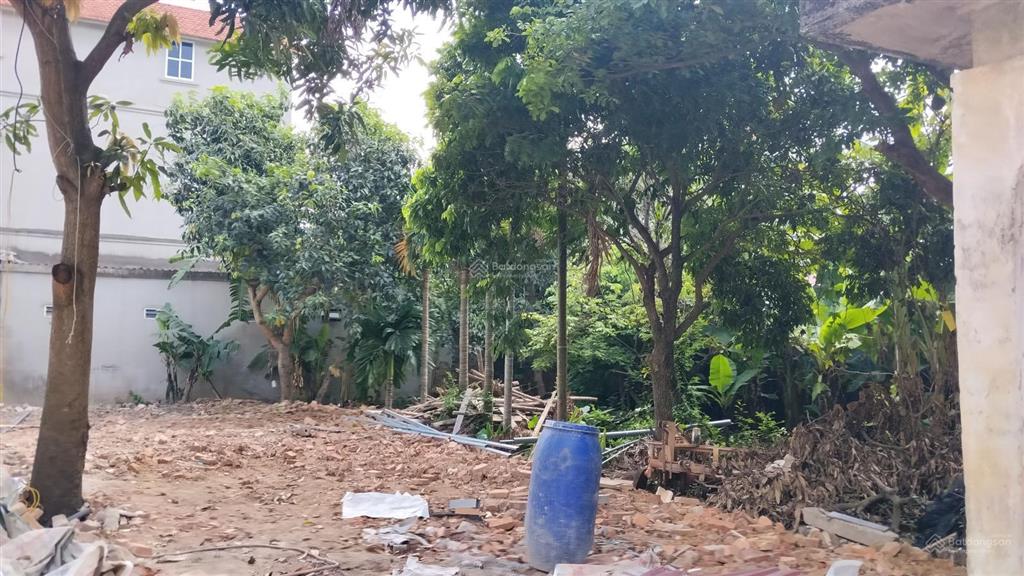 Bán đất cổ miếu, thụy lâm, đông anh, 2 ô tô tránh 55 triệu / m2, 95m2, view công viên