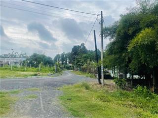 Cần bán gấp lô đất vườn 250m, giá 1,350 tỷ, oto vào tận nơi, shr. xã phước vĩnh an.