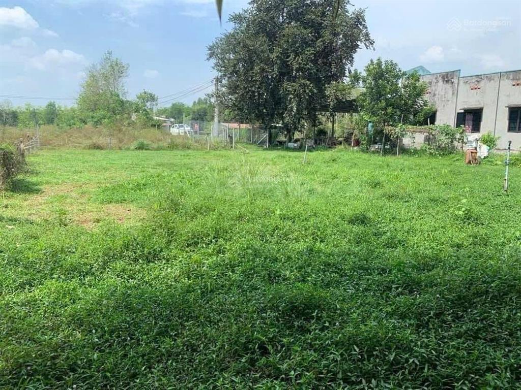 Bà chủ kẹt ngân hàng bán xả lỗ lô vườn 600m² có 200m thổ, giá 1,250 tỷ, shr.