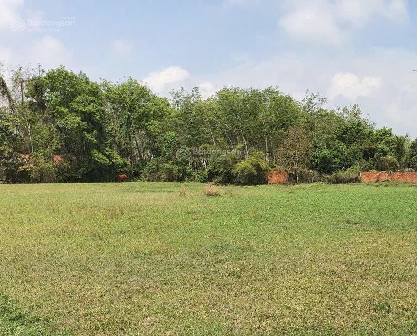 Chính chủ bán gấp lô vườn 2mt đường võ văn điều 2550m2 (300m2 thổ), giá 6,5 tỷ. shr