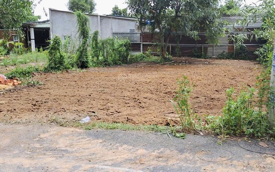Chủ hạ giá bán gấp lô đất thổ cư 100m2, giá 1,350 tỷ đường nhựa 6m thông. shr