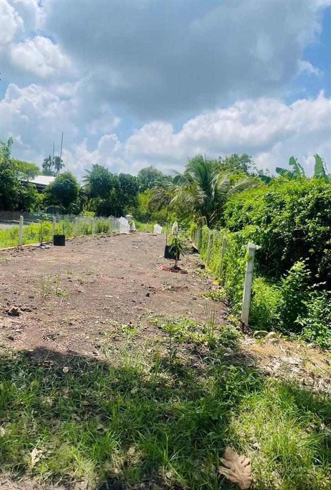 Bán nhanh lô đất thổ cư 100m2, giá 1,350 tỷ, shr, đường nhựa 6m thông.