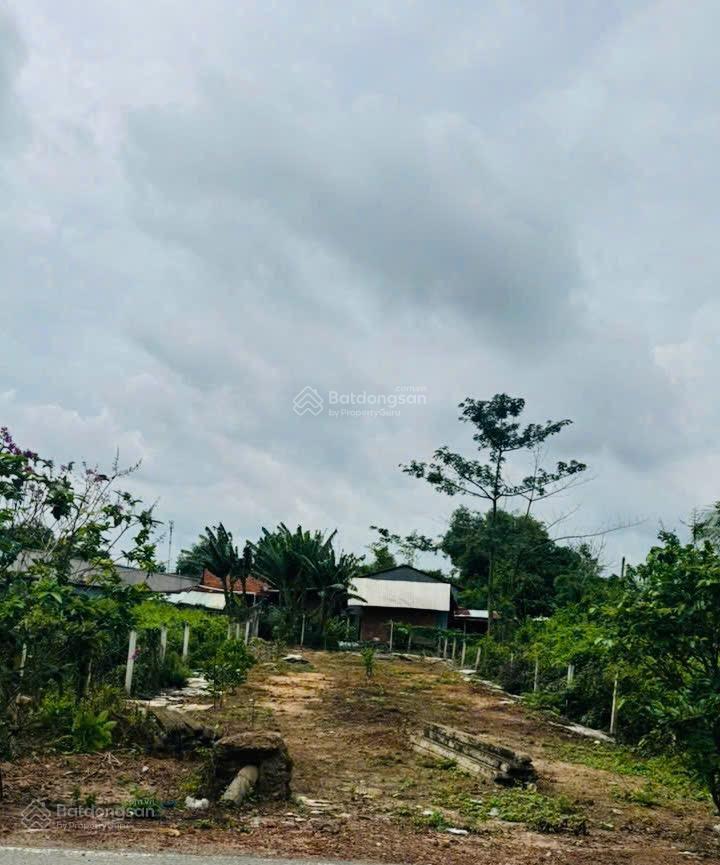 Giá tốt khu vực chính chủ bán gấp lô thổ cư 115m2 full thổ cư, giá 1,1 tỷ, shr.