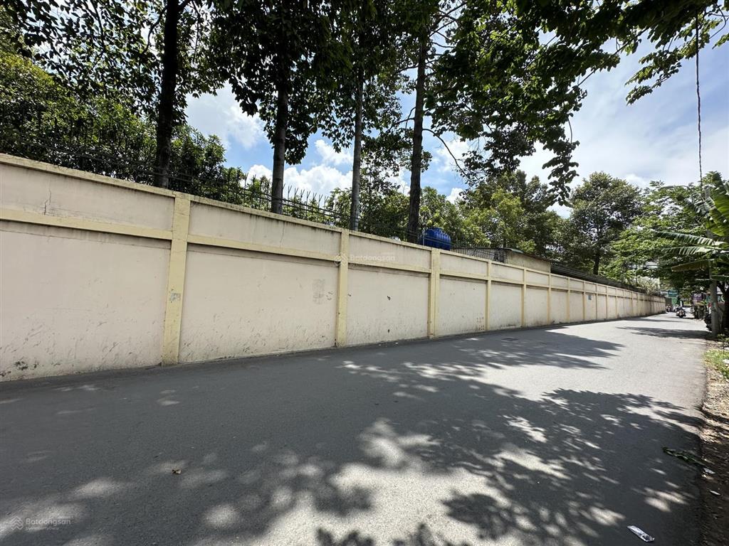 123m2. 5*25. 2 tầng. nhà mặt tiền trịnh khắc lập. dòng tiền 16tr/ tháng. shr. gấp bán 11 tỷ tám