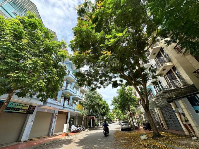 Bán nhà lk phường quang trung  hà đông, phân lô  ô tô  kinh doanh, 48m2 giá 12.5 tỷ
