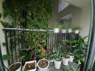 Chính chủ bán căn hộ 291570m22 phòng ngủ chung cư samsora premier 105 chu văn an hà đông