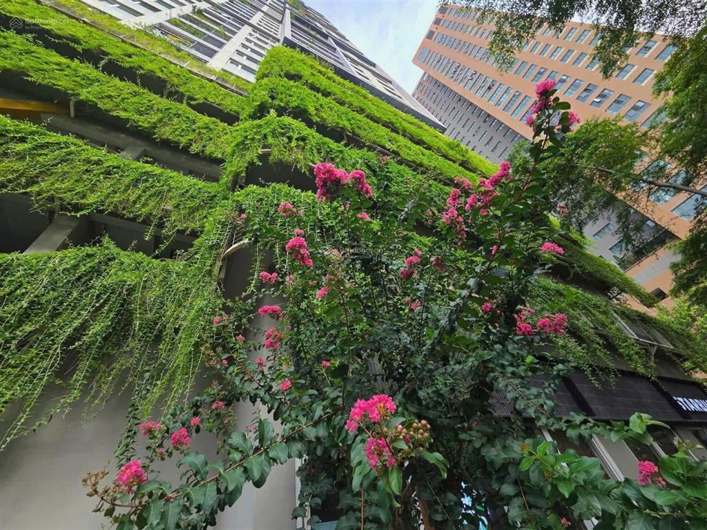 Bán căn hoa hậu tại seasons avenue view hồ cực đẹp