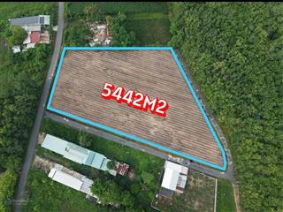 Kẹt tiền bán gấp lô đất 5445m2. 3mt đào thị thơm giá 13 tỷ 5 chốt