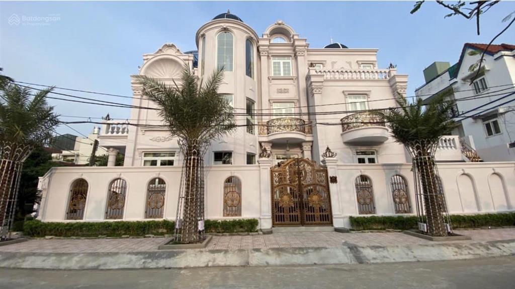 Lâu đài góc đối diện công viên khu ao sen tên lửa 4 tầng có tầng hầm + thang máy full nội thất