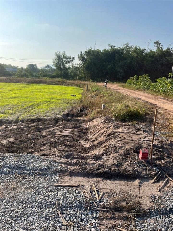 Bán đất đường xe hơi dương minh châu  5x35m có 155m2 thổ cư, giá 250 triệu