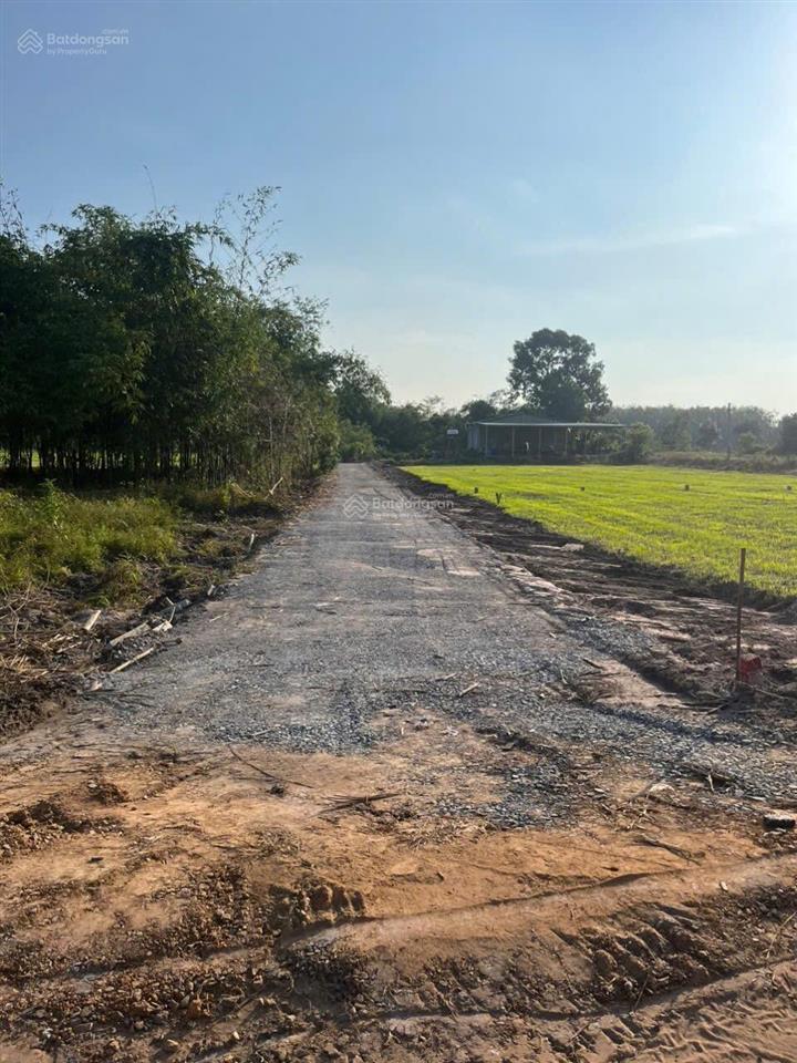 Bán đất đường xe hơi dương minh châu  5x35m có 155m2 thổ cư, giá 250 triệu