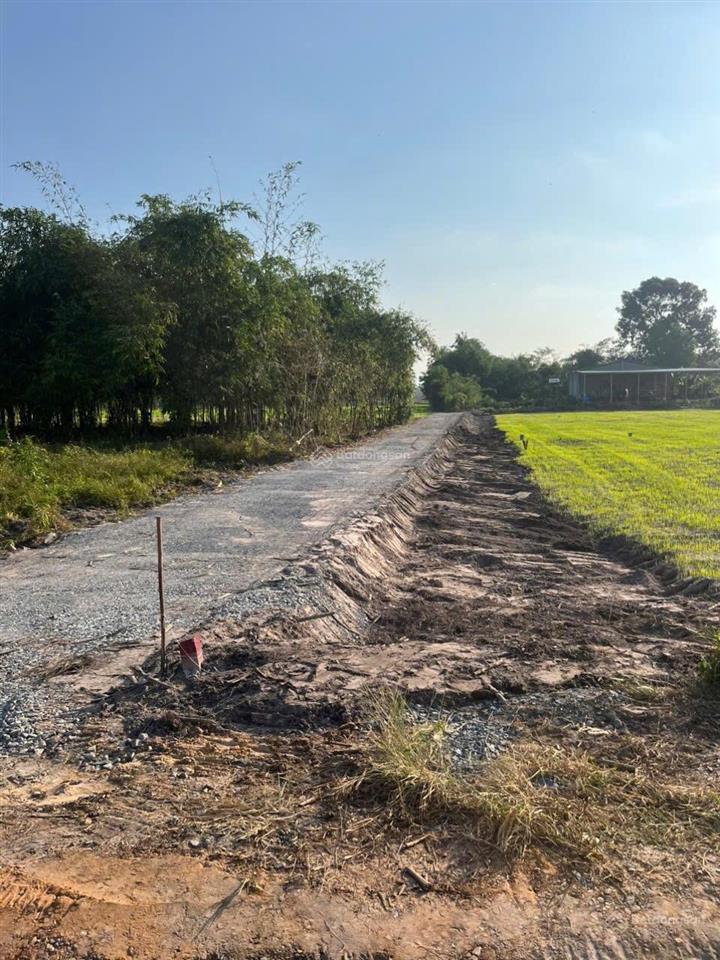 Bán đất đường xe hơi dương minh châu  5x35m có 155m2 thổ cư, giá 250 triệu