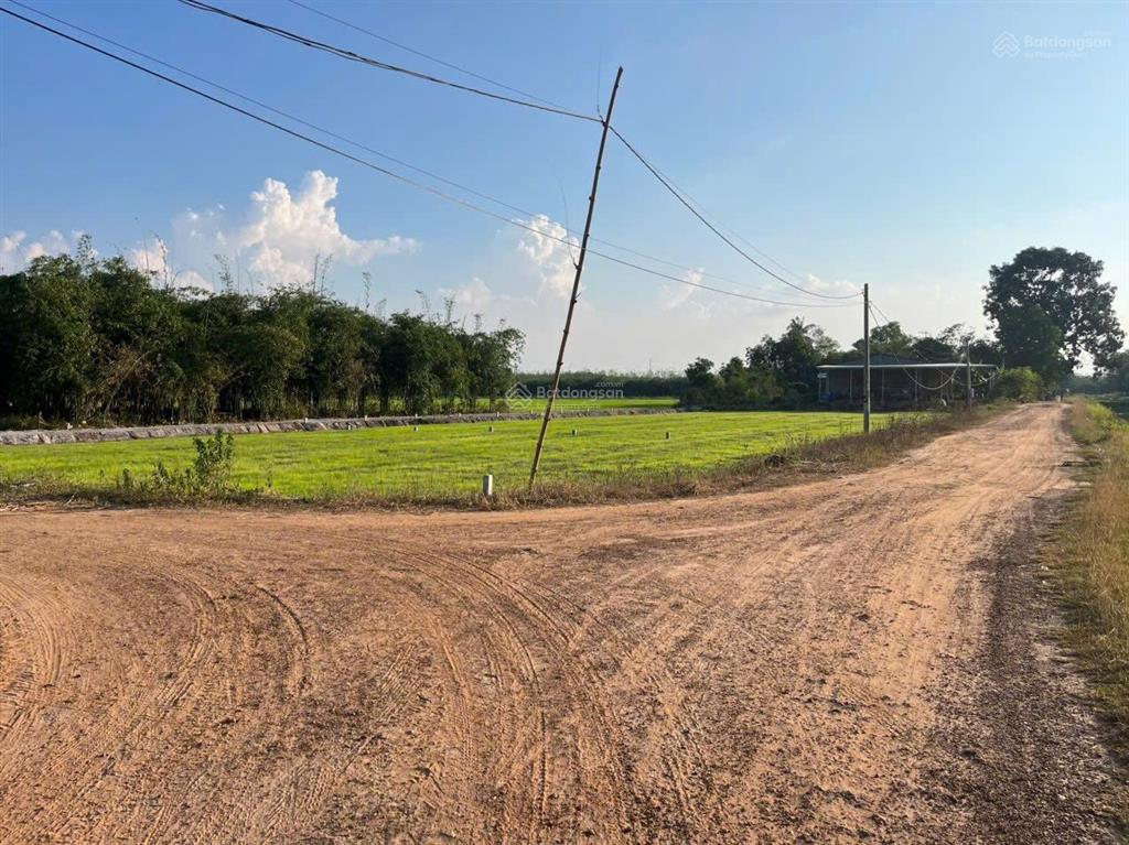 Bán đất đường xe hơi dương minh châu  5x35m có 155m2 thổ cư, giá 250 triệu