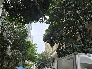Hiếm building đồng me 9 tầng + hầm 24 phòng full kín gần 90m xây dựng bề thế, tối ưu khai