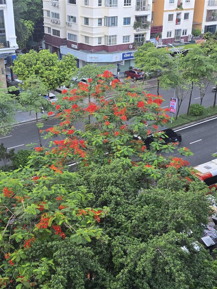 Một căn nhà ba giá trị. an cư đẳng cấp văn phòng sang trọng dòng tiền 60 triệu/tháng