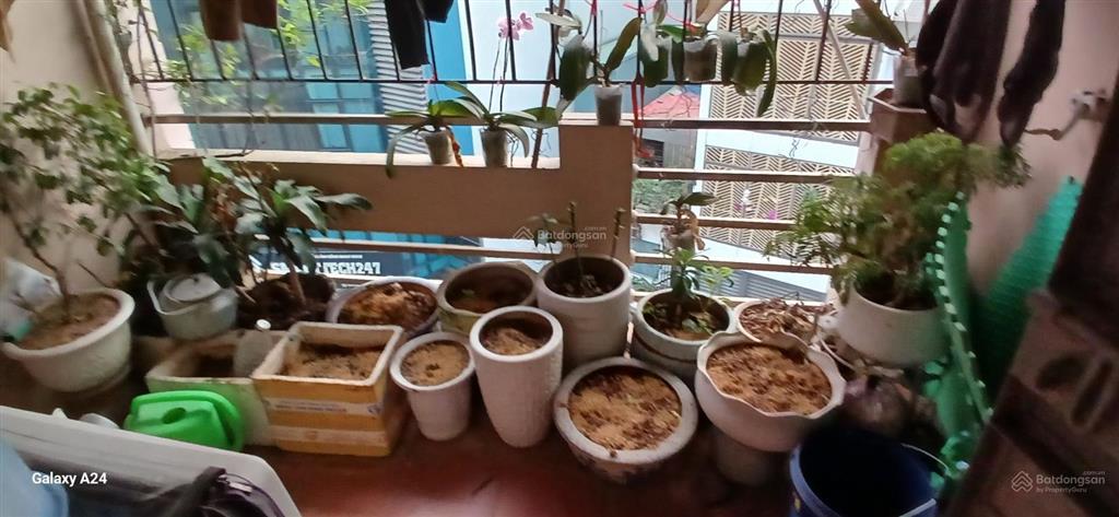 Bán nhà mặt phố 33 chùa quỳnh, 15,5 tỷ, 16m2, 5 tầng, 3pn, 3wc, đông nam