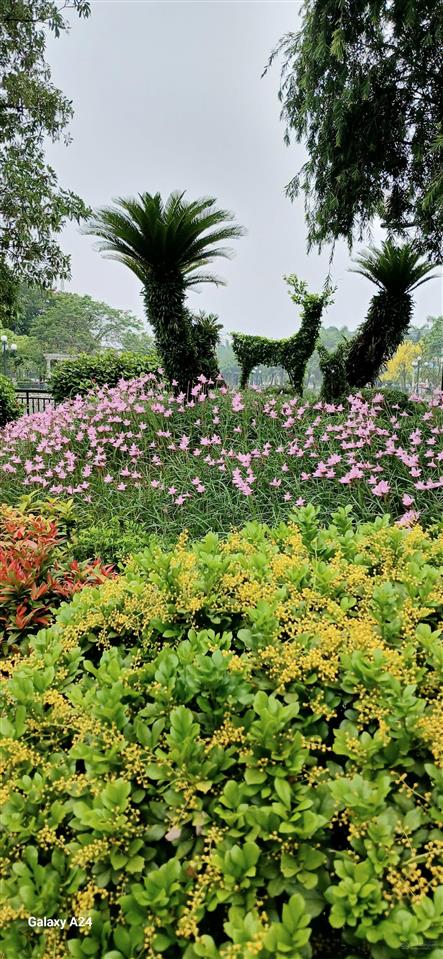 Bán biệt thự vườn cam vinapol giá đầu tư  phòng kd