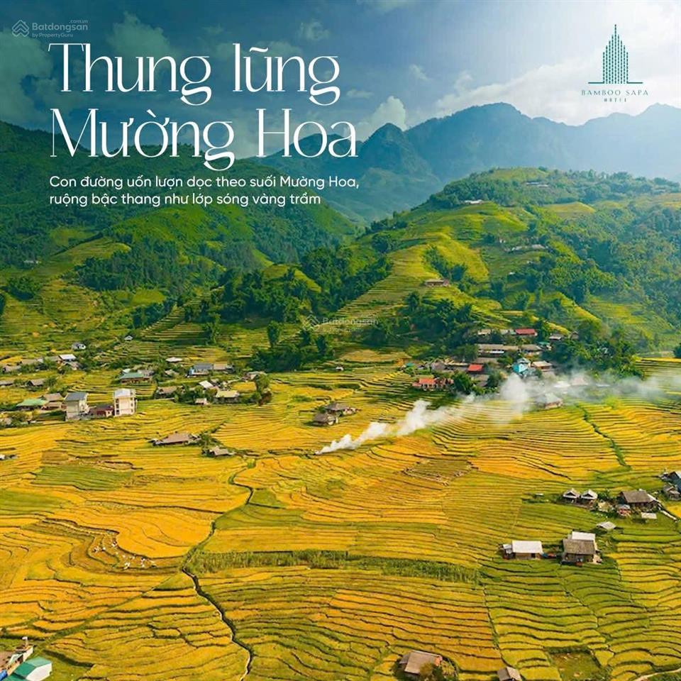 Siêu phẩm 1.236m2 full bìa view thung lũng ruộng lúa ý linh hồ tả van sa pa khai thác du lịch