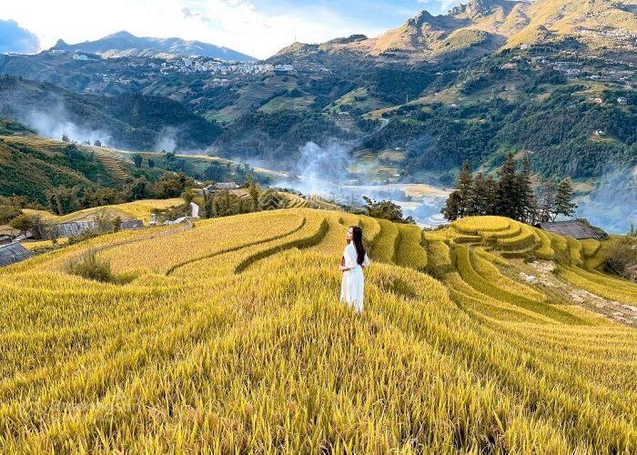 Siêu phẩm 1.236m2 full bìa view thung lũng ruộng lúa ý linh hồ tả van sa pa khai thác du lịch