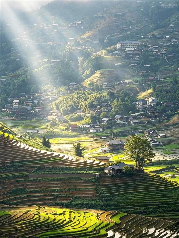 Siêu phẩm 1.236m2 full bìa view thung lũng ruộng lúa ý linh hồ tả van sa pa khai thác du lịch