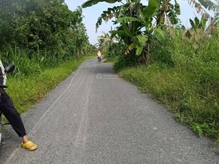 Đất nền skc mỹ thạnh trung tam bình vĩnh long cần bán gấp